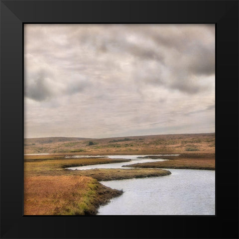 Estuary I Black Modern Wood Framed Art Print by Poinski, Dianne