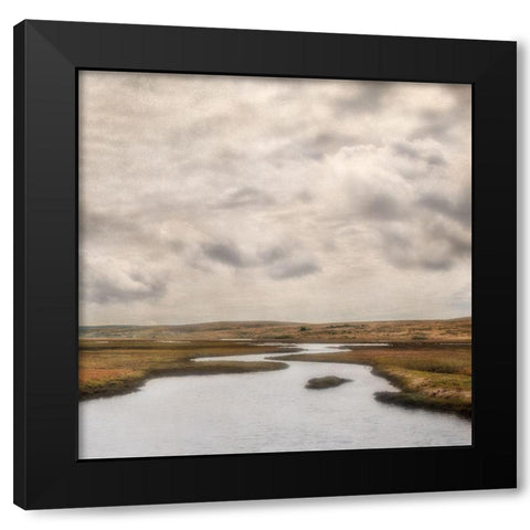 Estuary II Black Modern Wood Framed Art Print by Poinski, Dianne