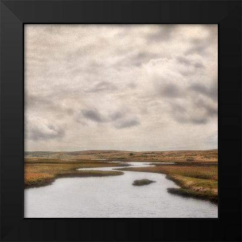 Estuary II Black Modern Wood Framed Art Print by Poinski, Dianne