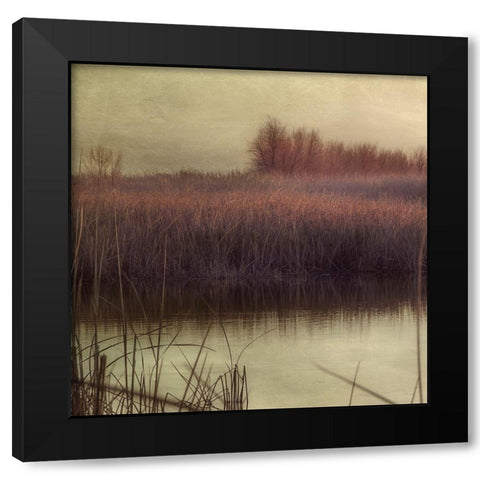 Wetlands Marsh 1 Black Modern Wood Framed Art Print with Double Matting by Poinski, Dianne