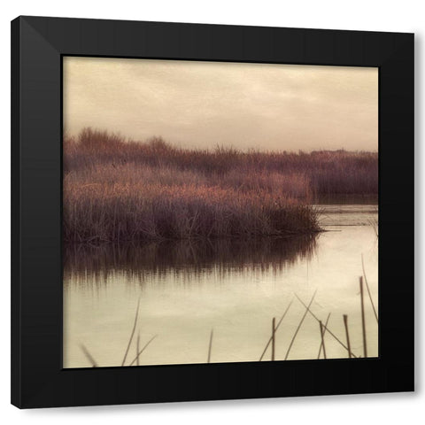 Wetlands Marsh 2 Black Modern Wood Framed Art Print by Poinski, Dianne