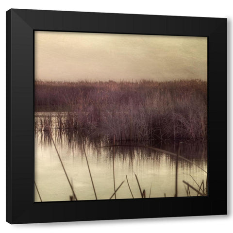 Wetlands Marsh 3 Black Modern Wood Framed Art Print with Double Matting by Poinski, Dianne