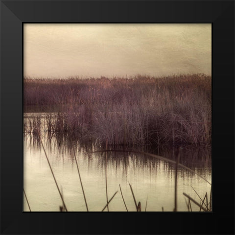 Wetlands Marsh 3 Black Modern Wood Framed Art Print by Poinski, Dianne