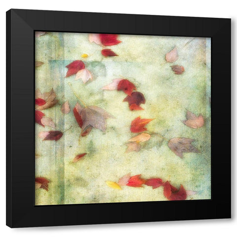 Fall Leaves 1 Black Modern Wood Framed Art Print with Double Matting by Poinski, Dianne