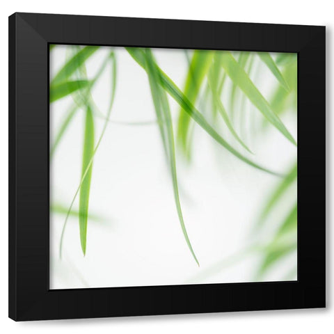Green Leaves 1 Black Modern Wood Framed Art Print with Double Matting by Poinski, Dianne