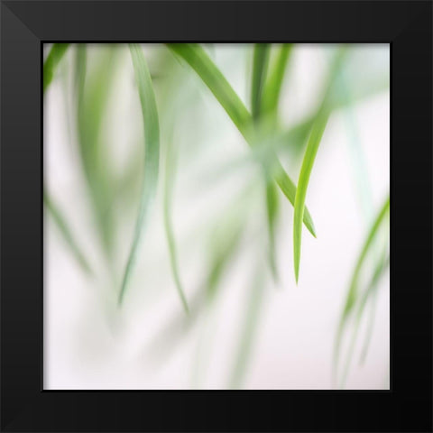 Green Leaves 2 Black Modern Wood Framed Art Print by Poinski, Dianne