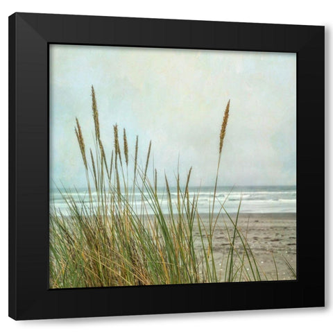 North Coast Dunes 2 Black Modern Wood Framed Art Print with Double Matting by Poinski, Dianne