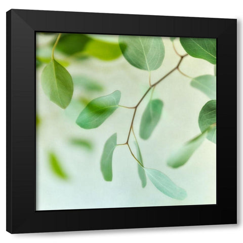 Summer Radiance 1 Black Modern Wood Framed Art Print with Double Matting by Poinski, Dianne