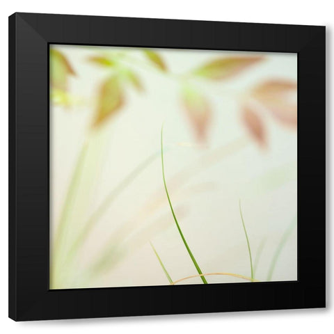 Warm Breeze 1 Black Modern Wood Framed Art Print with Double Matting by Poinski, Dianne