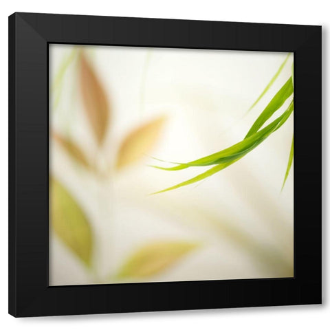 Warm Breeze 2 Black Modern Wood Framed Art Print with Double Matting by Poinski, Dianne