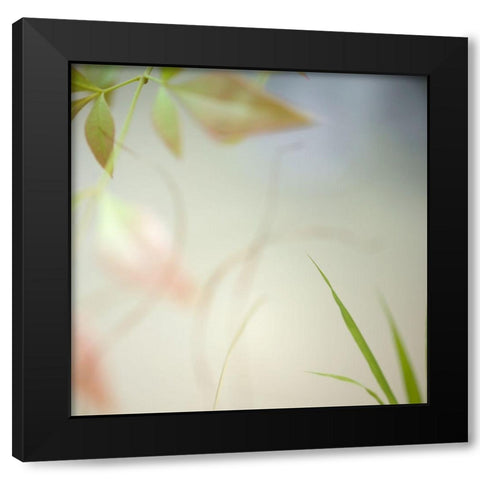 Warm Breeze 3 Black Modern Wood Framed Art Print with Double Matting by Poinski, Dianne