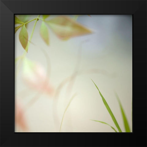 Warm Breeze 3 Black Modern Wood Framed Art Print by Poinski, Dianne