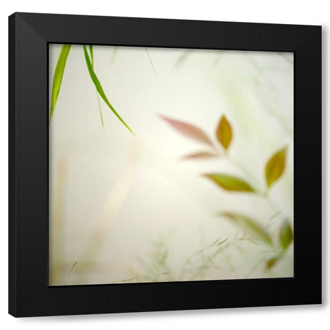 Warm Breeze 4 Black Modern Wood Framed Art Print by Poinski, Dianne