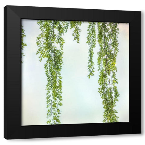 Whisper 1 Black Modern Wood Framed Art Print with Double Matting by Poinski, Dianne