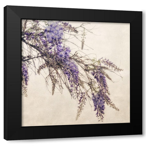 Wisteria Black Modern Wood Framed Art Print with Double Matting by Poinski, Dianne