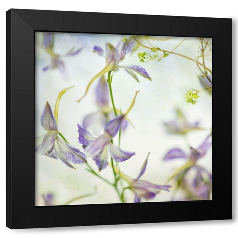 Gentle Dance 1 Black Modern Wood Framed Art Print with Double Matting by Poinski, Dianne