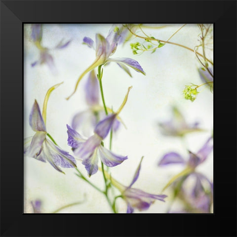 Gentle Dance 1 Black Modern Wood Framed Art Print by Poinski, Dianne