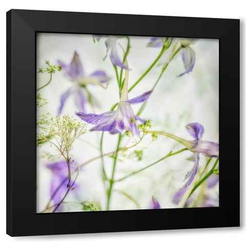 Gentle Dance 3 Black Modern Wood Framed Art Print with Double Matting by Poinski, Dianne