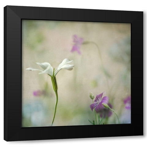 Early Spring 2 Black Modern Wood Framed Art Print with Double Matting by Poinski, Dianne