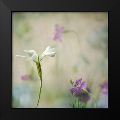 Early Spring 2 Black Modern Wood Framed Art Print by Poinski, Dianne