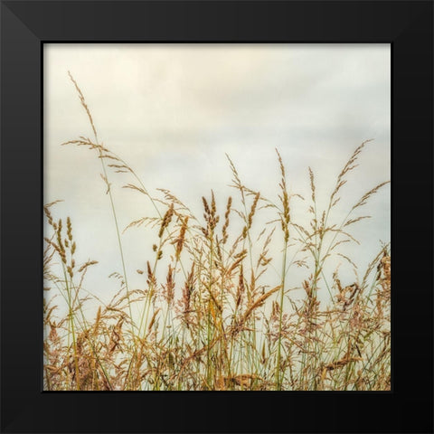 Bluff Grass 1 Black Modern Wood Framed Art Print by Poinski, Dianne