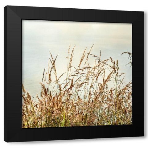 Bluff Grass 2 Black Modern Wood Framed Art Print by Poinski, Dianne