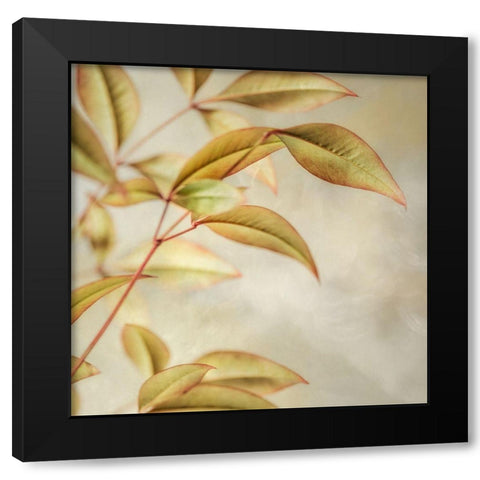 Golden Leaves 1 Black Modern Wood Framed Art Print by Poinski, Dianne