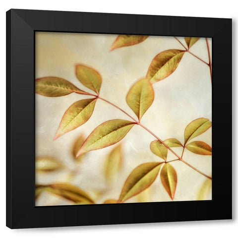 Golden Leaves 2 Black Modern Wood Framed Art Print with Double Matting by Poinski, Dianne