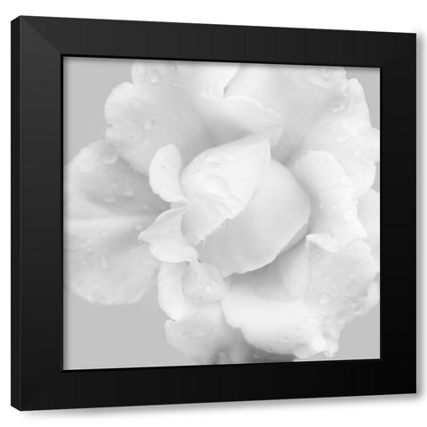 Beautiful Dreams 3 Black Modern Wood Framed Art Print with Double Matting by Poinski, Dianne