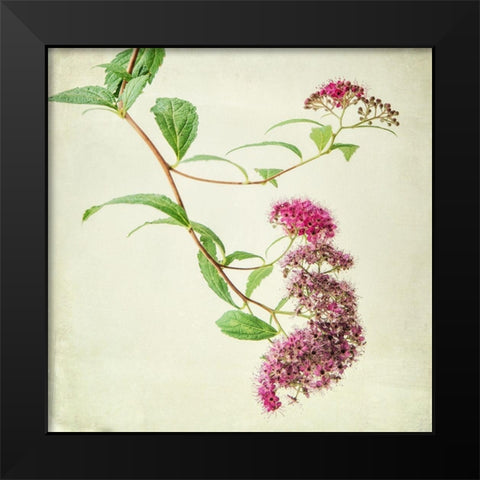 Vintage Pink Black Modern Wood Framed Art Print by Poinski, Dianne