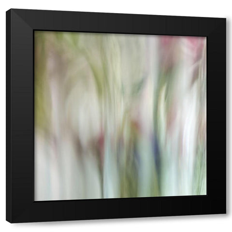 Nature Veiled 1 Black Modern Wood Framed Art Print with Double Matting by Poinski, Dianne