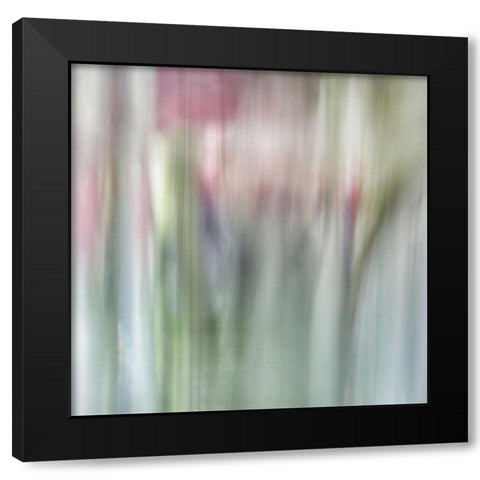 Nature Veiled 2 Black Modern Wood Framed Art Print by Poinski, Dianne