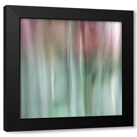Nature Veiled 3 Black Modern Wood Framed Art Print by Poinski, Dianne