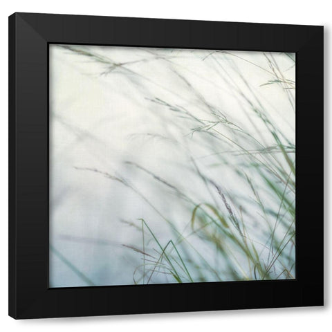 Bluff Grass I Black Modern Wood Framed Art Print with Double Matting by Poinski, Dianne