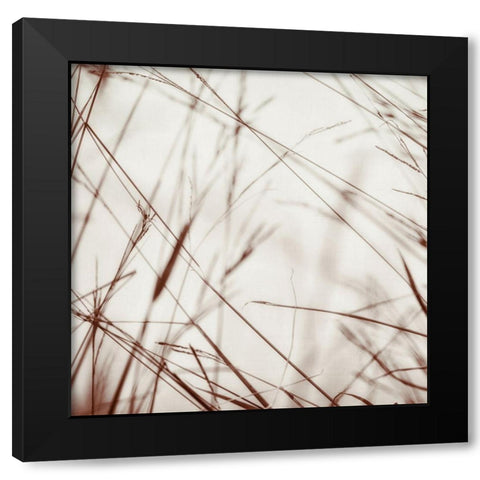 Moody Bluffgrass 2 Black Modern Wood Framed Art Print by Poinski, Dianne