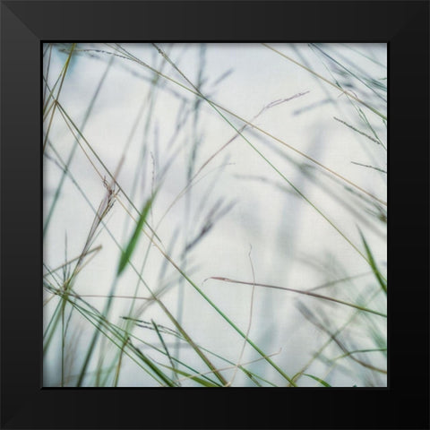 Bluff Grass II Black Modern Wood Framed Art Print by Poinski, Dianne