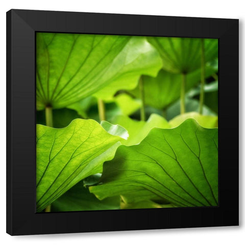 Vivid Green 1 Black Modern Wood Framed Art Print by Poinski, Dianne