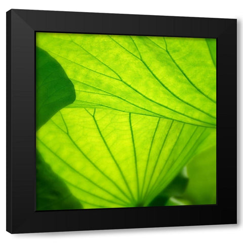 Vivid Green 2 Black Modern Wood Framed Art Print by Poinski, Dianne