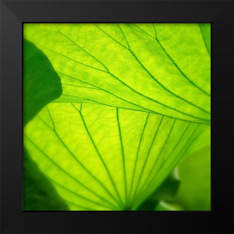Vivid Green 2 Black Modern Wood Framed Art Print by Poinski, Dianne