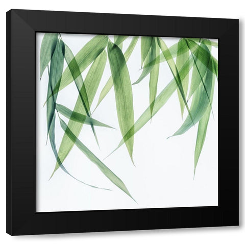 Swaying Bamboo 1 Black Modern Wood Framed Art Print with Double Matting by Poinski, Dianne