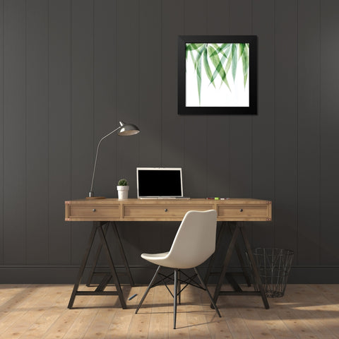 Swaying Bamboo 2 Black Modern Wood Framed Art Print by Poinski, Dianne