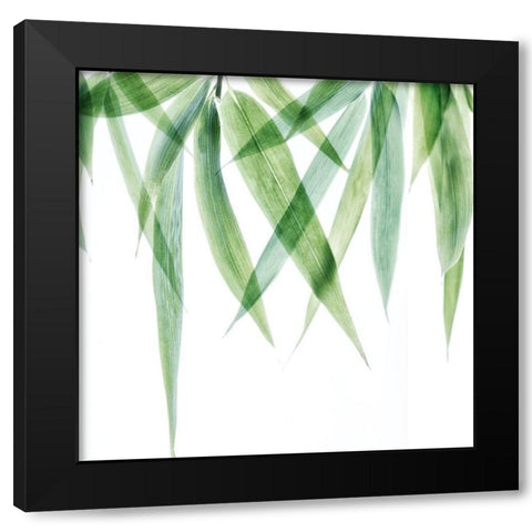 Swaying Bamboo 2 Black Modern Wood Framed Art Print by Poinski, Dianne