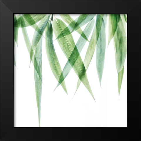 Swaying Bamboo 2 Black Modern Wood Framed Art Print by Poinski, Dianne