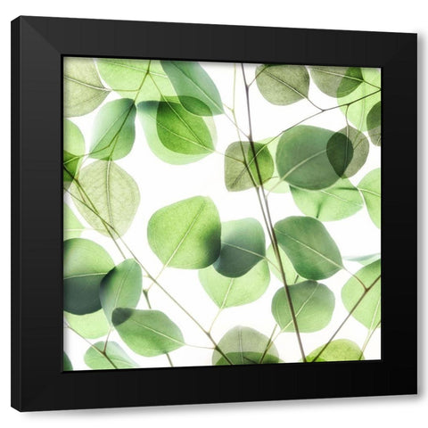 Verdant Leaves 1 Black Modern Wood Framed Art Print with Double Matting by Poinski, Dianne