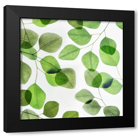 Verdant Leaves 2 Black Modern Wood Framed Art Print with Double Matting by Poinski, Dianne