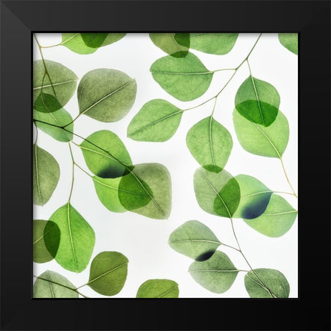 Verdant Leaves 2 Black Modern Wood Framed Art Print by Poinski, Dianne