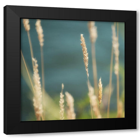 Bountiful Beauty 1 Black Modern Wood Framed Art Print with Double Matting by Poinski, Dianne