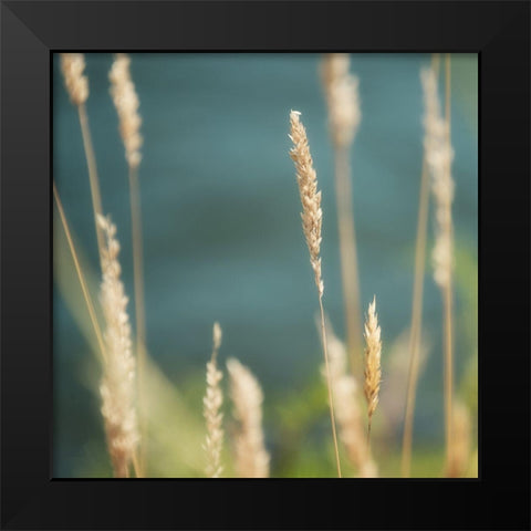 Bountiful Beauty 1 Black Modern Wood Framed Art Print by Poinski, Dianne