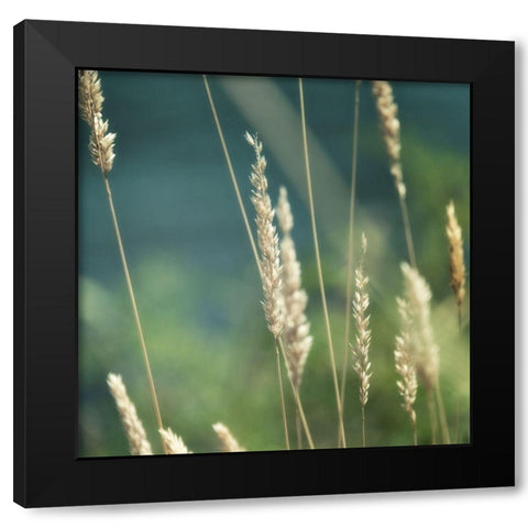 Bountiful Beauty 2 Black Modern Wood Framed Art Print with Double Matting by Poinski, Dianne
