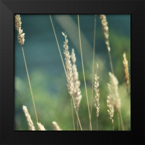 Bountiful Beauty 2 Black Modern Wood Framed Art Print by Poinski, Dianne